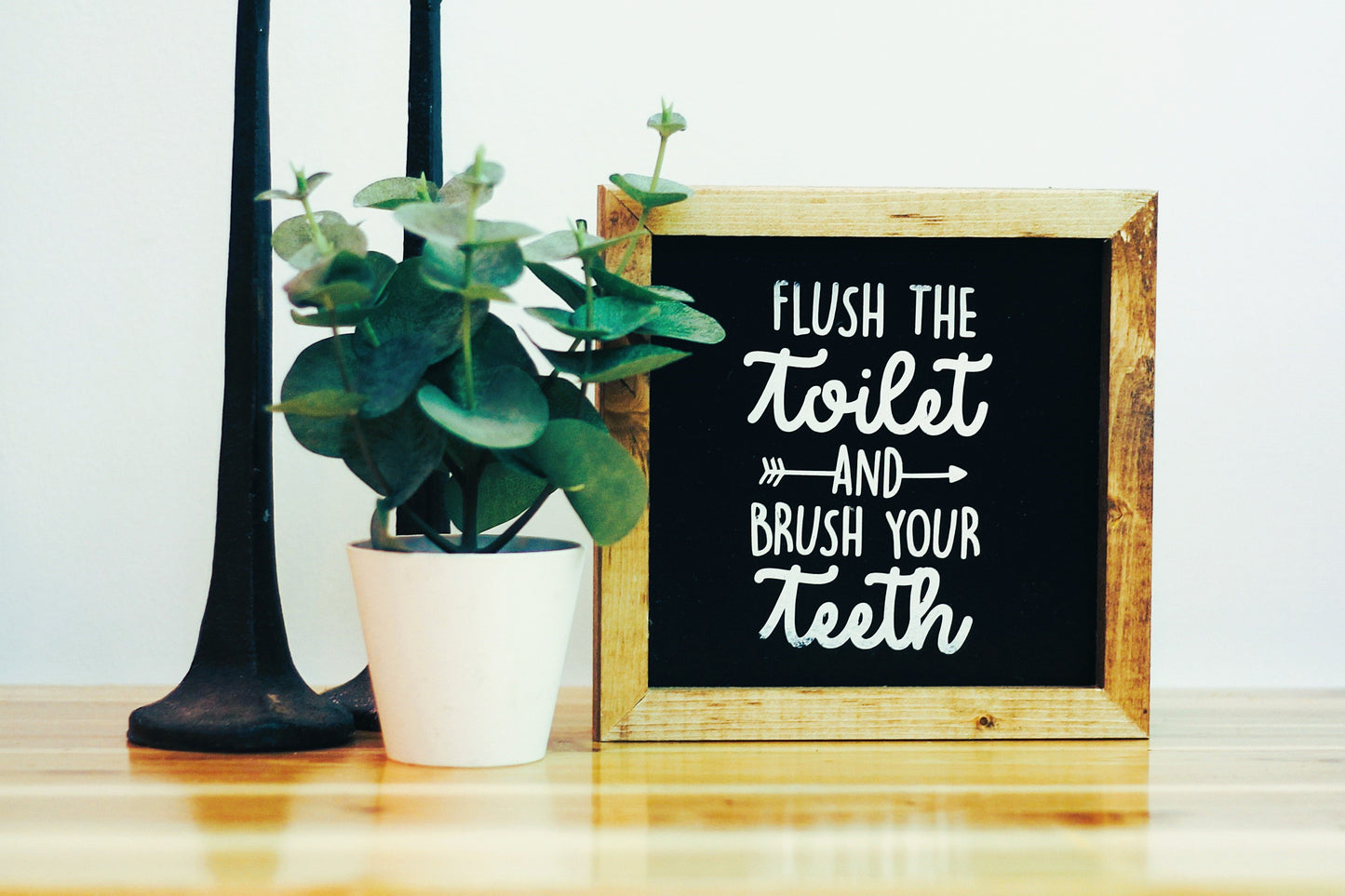 Flush The Toilet And Brush Your Teeth