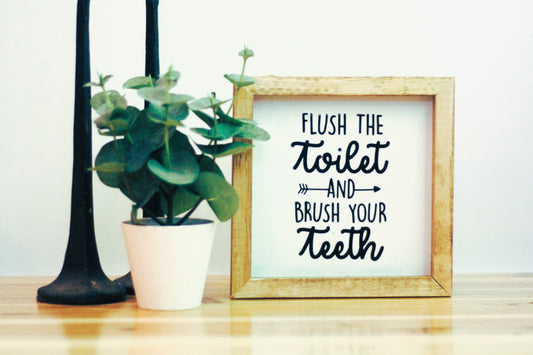 Flush The Toilet And Brush Your Teeth